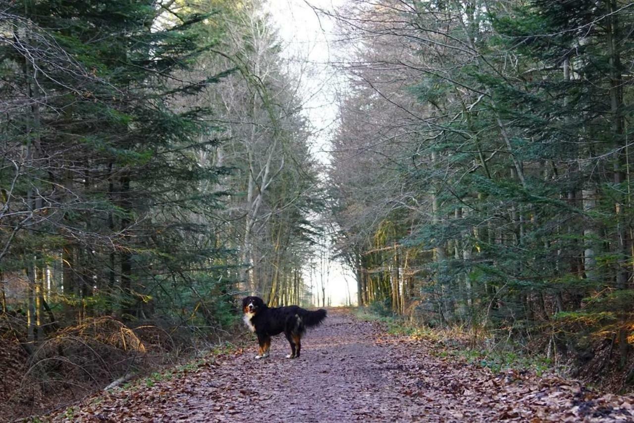 Ferienhaus Nannen Rechtsupweg Buitenkant foto