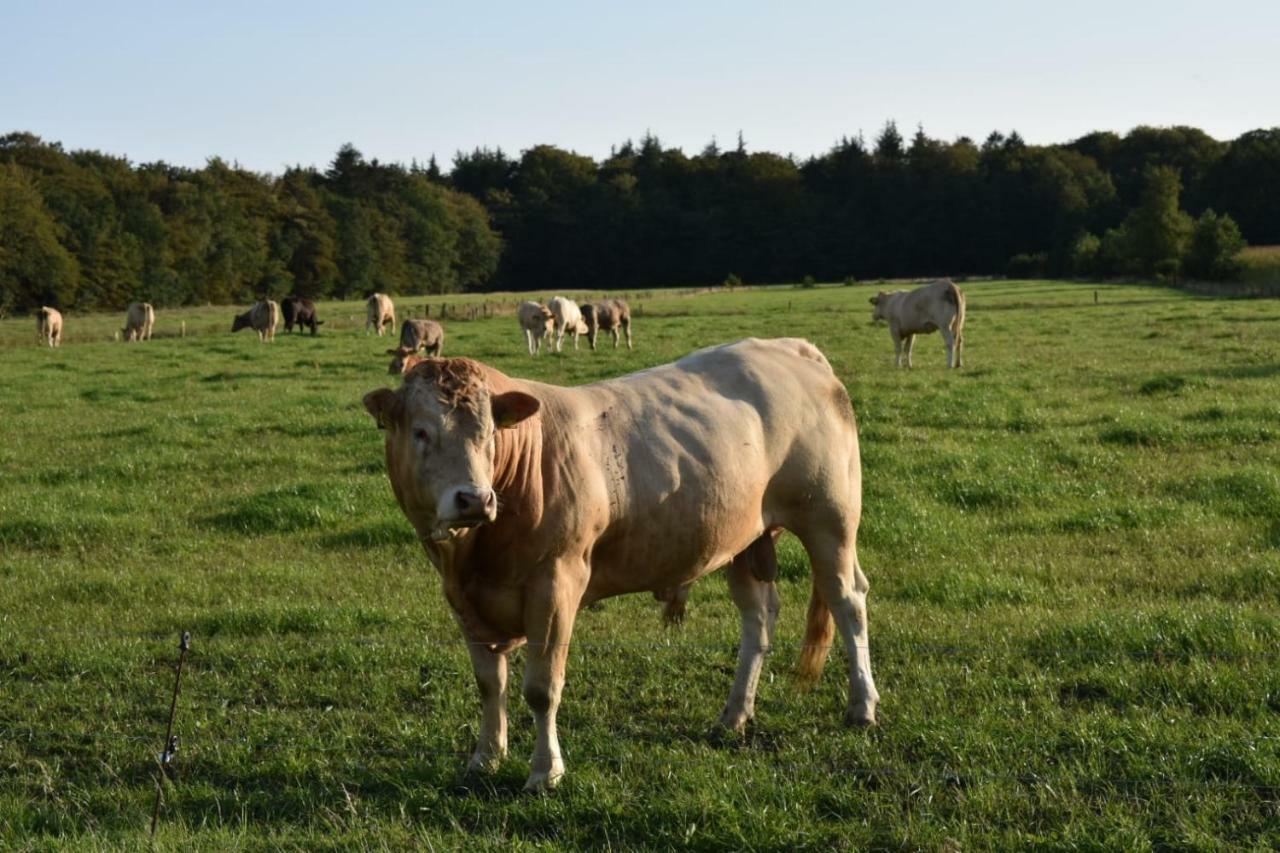 Ferienhaus Nannen Rechtsupweg Buitenkant foto
