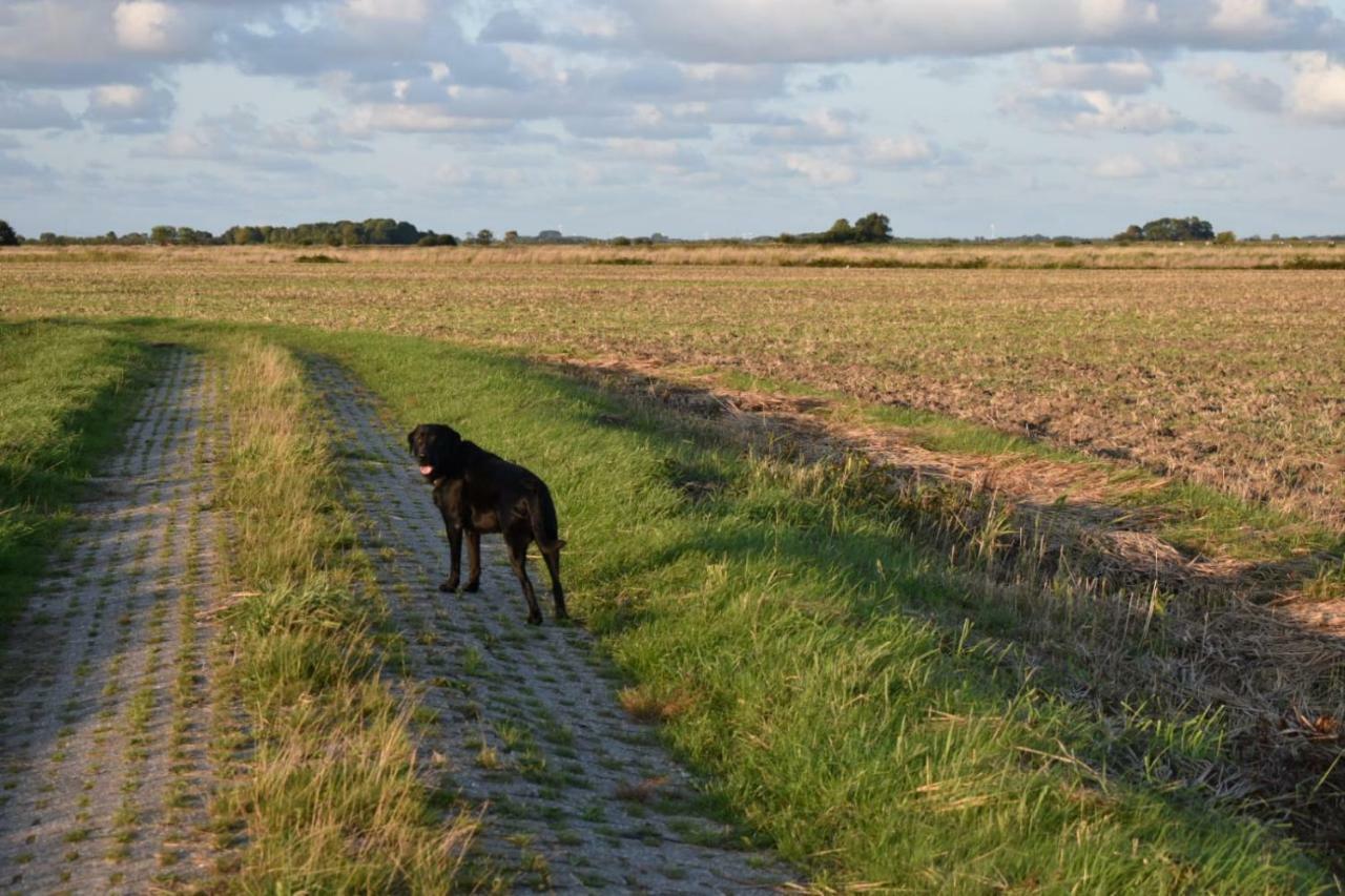 Ferienhaus Nannen Rechtsupweg Buitenkant foto